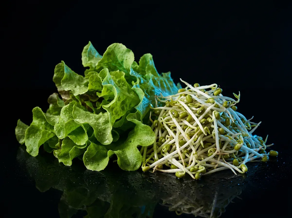 Fresh lettuce and mung bean sprouts